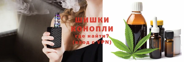 винт Абаза