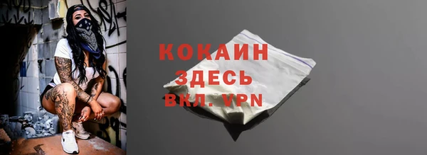 винт Абаза