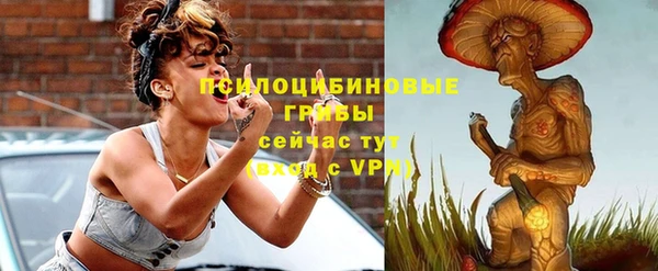 молекула духа Медногорск