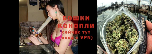 ГАЛЛЮЦИНОГЕННЫЕ ГРИБЫ Медвежьегорск