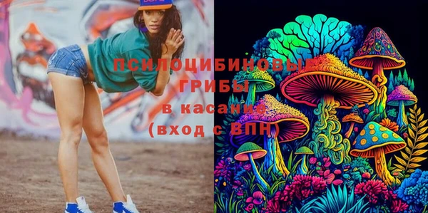 ГАЛЛЮЦИНОГЕННЫЕ ГРИБЫ Медвежьегорск